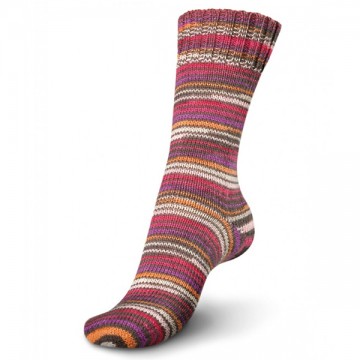  Regia Sock Yarn