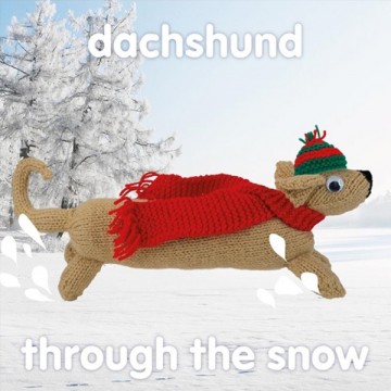 dachshund