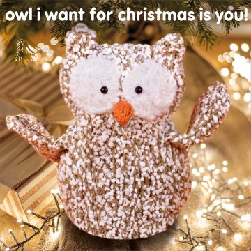Knit & Purl Owl I want