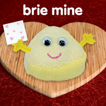 Knit & Purl Brie Mine