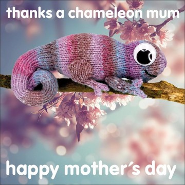 thanks a chameleon mum