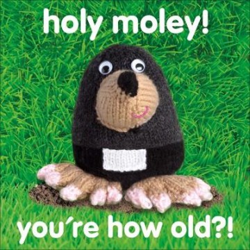 Knit & Purl holy moley...