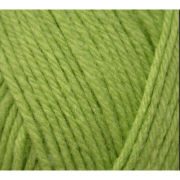 Treasure DK 507 Grass